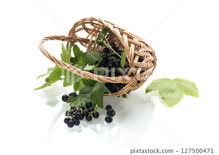 Scattered currant berries next to a basket 127500471