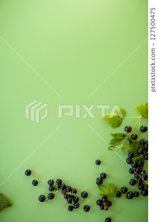 Blackcurrant berries close-up on a green background Blackcurrant berries close-up on a green background 127500475