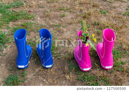 Pink and blue rubber boots with beautiful green vineyard in autumn. Country style. Nature background. Pink and blue rubber boots with beautiful green vineyard in autumn. Country style. Nature background. 127500500