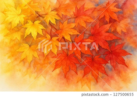秋葉,楓葉,秋天的景象 秋葉,楓葉,秋天的景象 127500655