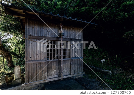 晨曦照進神奈川縣橫須賀市的小熊野神社 127500760