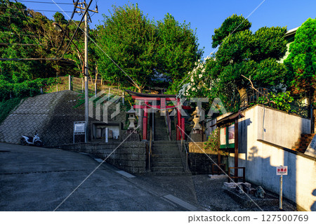 神奈川縣橫須賀市歷史悠久的熊野神社的石碑和鳥居排列成行,風景優美 神奈川縣橫須賀市歷史悠久的熊野神社的石碑和鳥居排列成行,風景優美 127500769