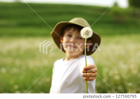 The child holds out a white dandelion. Summer mood, a walk in nature. A gift from the heart The child holds out a white dandelion. Summer mood, a walk in nature. A gift from the heart 127500795