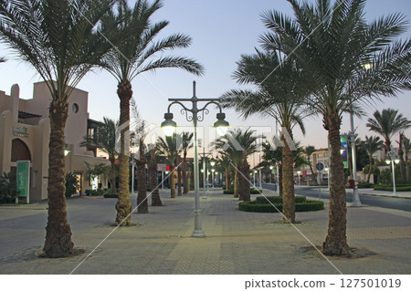 City road in Hurghada. Palm trees grow by road. Tropical resort City road in Hurghada. Palm trees grow by road. Tropical resort 127501019