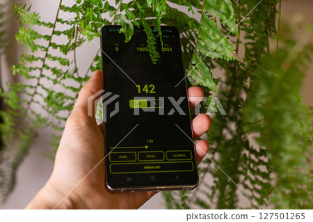 Hand holding phone with a light meter app. It showcases low lighting in the plant growth area 127501265