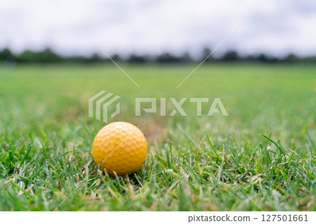 A bright yellow golf ball is resting on the lush green grass at the driving range facility A bright yellow golf ball is resting on the lush green grass at the driving range facility 127501661