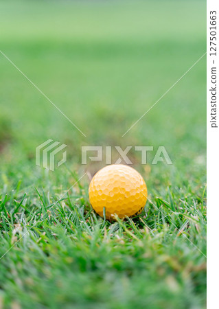 A closeup view of a bright Yellow Golf Ball resting on a bed of Fresh Green Grass A closeup view of a bright Yellow Golf Ball resting on a bed of Fresh Green Grass 127501663