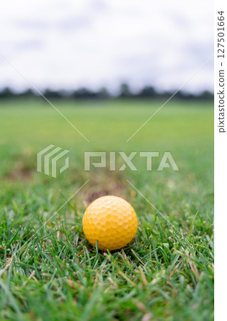 A closeup image of a vibrant Yellow Golf Ball positioned on lush Green Grass, captured beautifully A closeup image of a vibrant Yellow Golf Ball positioned on lush Green Grass, captured beautifully 127501664