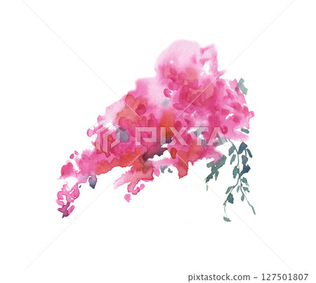 Abstract image of a pink bougainvillea bouquet. Bright watercolor illustration isolated on a white background. An element of a bush of blooming bougainvillea. 127501807