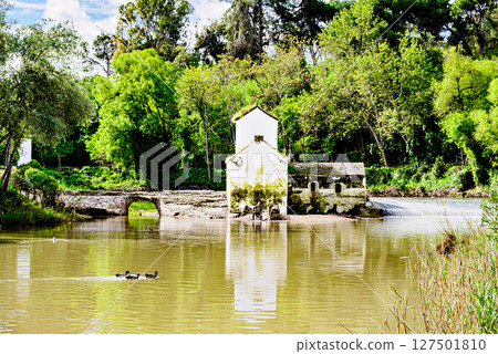 Flour mill next to the banks of the Guadaira River, within Oromana Park in Alcala de Guadaira, Seville Flour mill next to the banks of the Guadaira River, within Oromana Park in Alcala de Guadaira, Seville 127501810
