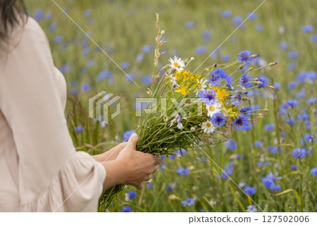 Woman Holding Handpicked Medicinal Wildflowers Woman Holding Handpicked Medicinal Wildflowers 127502006