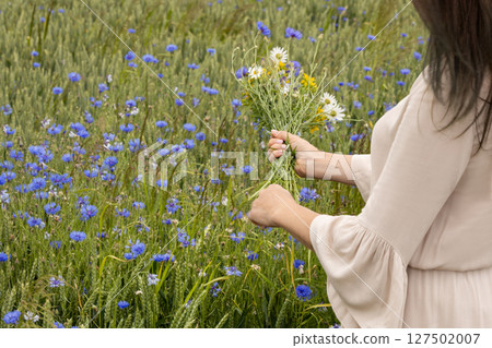 Woman Picking Wildflowers in Wheat Field Woman Picking Wildflowers in Wheat Field 127502007