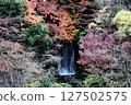 Waterfall and autumn leaves watercolor style 127502575