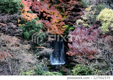 Waterfall and autumn leaves watercolor style Waterfall and autumn leaves watercolor style 127502575