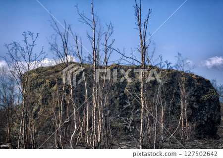 Pillow lava is evidence of underwater eruption 127502642