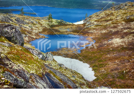 Misty spring morning forest and lake in may 127502675