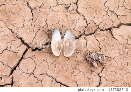 sea drought change of climate heat water sea drought change of climate heat water 127502740