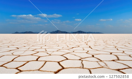 White Salt Flat with Cracked Surface 127502858