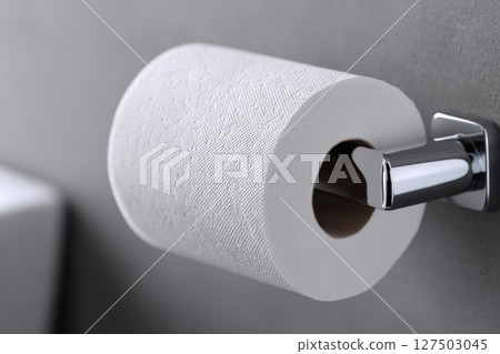 Toilet Paper Roll on Chrome Holder 127503045