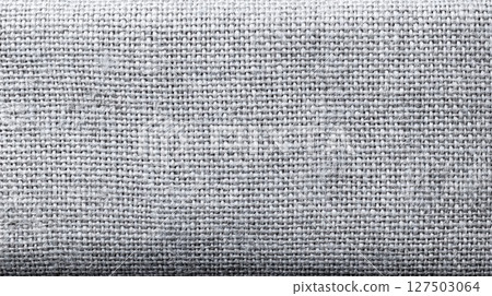 Light Gray Linen Fabric with Visible Weave Texture 127503064