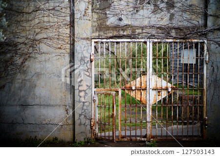 Ruins and iron bars 127503143