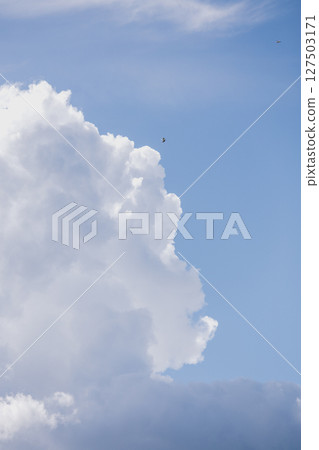 Fluffy white cloud in the blue sky. clear and cloudy weather, possible precipitation, rain. Fluffy white cloud in the blue sky. clear and cloudy weather, possible precipitation, rain. 127503171