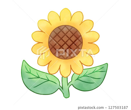 Simple sunflower flower 127503187