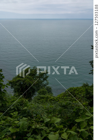 View of the Black Sea from a height down Botanical garden in Georgia 127503188