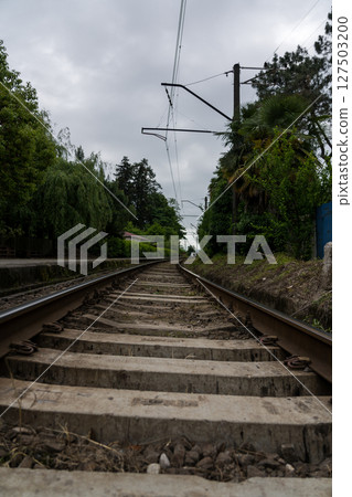 Railway tracks between trees, railway turn Railway tracks between trees, railway turn 127503200