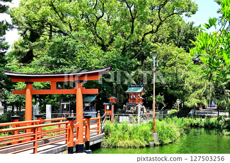 Masumida Shrine, Itsukushima Shrine, Hachiryu Shrine 127503256