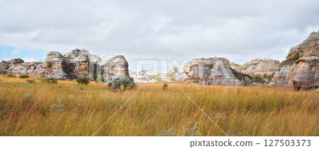 Low grass growing on African savanna, small rocky mountains in background - typical scenery at Isalo national Park, Madagascar 127503373