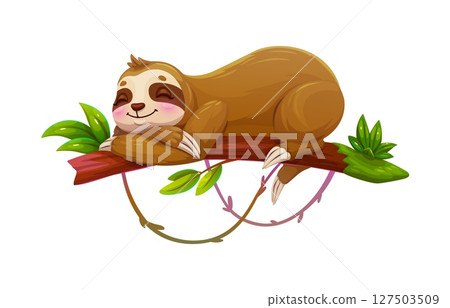 Cartoon lazy sloth animal sleeping on tree branch, vector cute character. Sloth sleeping or napping snooze on tree branch with liana leaves, tropical exotic animal with sleepy happy muzzle face Cartoon lazy sloth animal sleeping on tree branch, vector cute character. Sloth sleeping or napping snooze on tree branch with liana leaves, tropical exotic animal with sleepy happy muzzle face 127503509