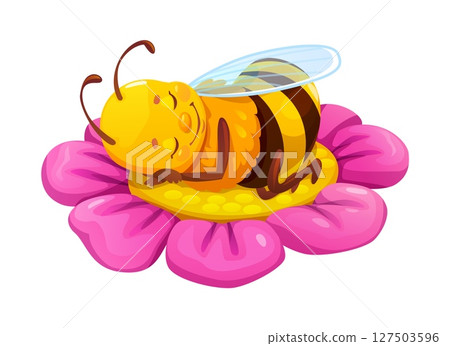 Cartoon honey bee character sleeping on garden flower. Vector cute bee peacefully napping on garden blossom with soft pink petals. Adorable calm and relaxing insect personage with closed eyes Cartoon honey bee character sleeping on garden flower. Vector cute bee peacefully napping on garden blossom with soft pink petals. Adorable calm and relaxing insect personage with closed eyes 127503596