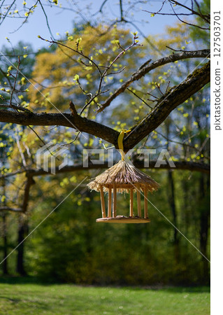 A bird and squirrel feeder is hanging on a branch of a large oak tree in spring park on a clear sunny day, fresh green foliage on black branches of trees, a background light illuminates the foliage 127503701