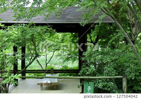 Garden and gazebo surrounded by greenery Garden and gazebo surrounded by greenery 127504042