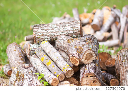 Firewood pile on green grass. 127504070