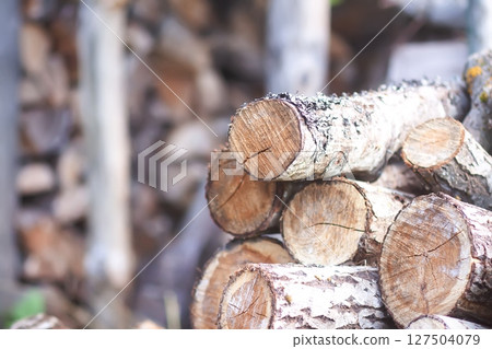 Firewood pile on green grass. 127504079