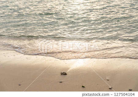 Calm waves on the coast of a southern island 127504104