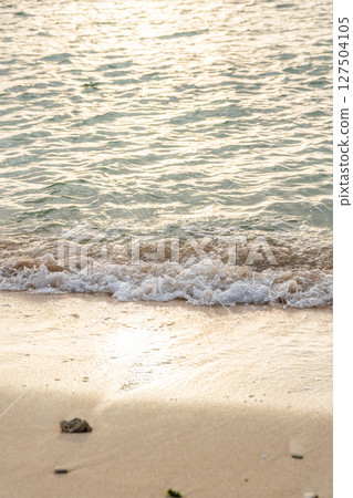 Calm waves on the coast of a southern island Calm waves on the coast of a southern island 127504105