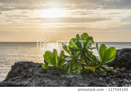 南島海岸的靜謐夕陽與草塚寺 南島海岸的靜謐夕陽與草塚寺 127504108