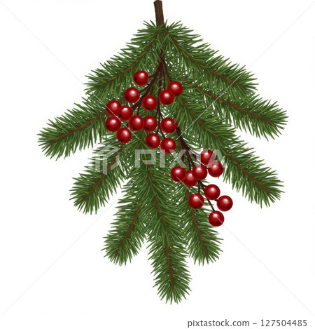Christmas Holly Branch with Red Berries and Green Pine Needles 127504485