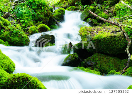 [Stream material] Fresh green stream and splashes of water [Nagano Prefecture] 127505362