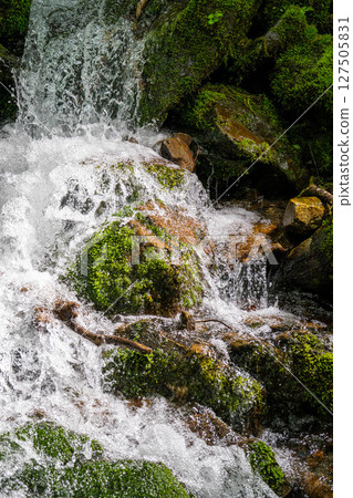 [Water Splash] Water Splash from a Mountain Stream [Nagano Prefecture] 127505831