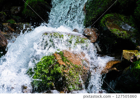 [Water Splash] Water Splash from a Mountain Stream [Nagano Prefecture] 127505860