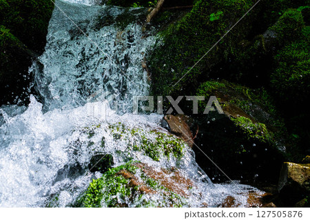 [水花飛濺] 山澗水花飛濺 [長野縣] 127505876