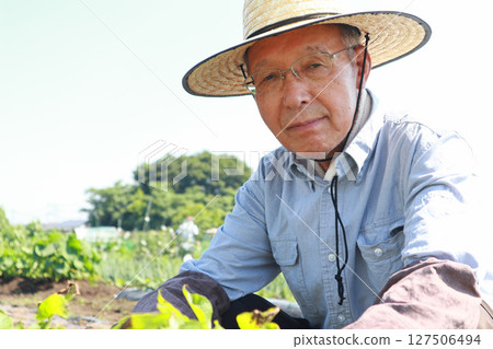 Senior working in the field 127506494