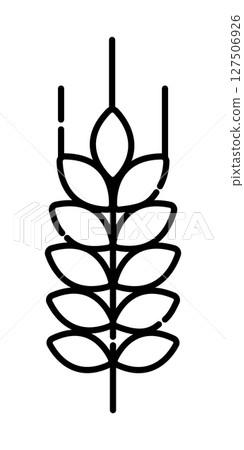 Spikelet of wheat black and white vector line icon Spikelet of wheat black and white vector line icon 127506926