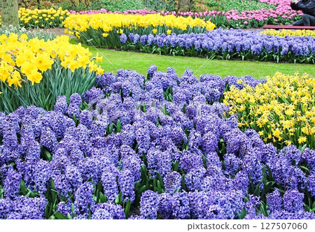Keukenhof 17 Keukenhof 17 127507060