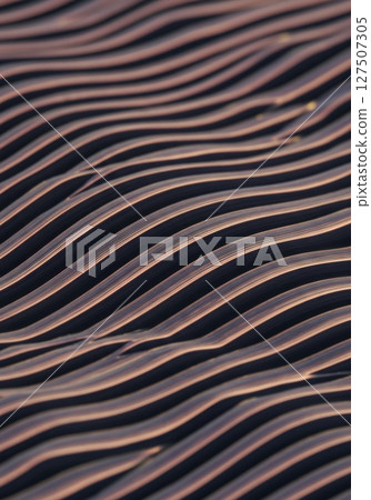 Abstract Wavy Lines Pattern Background Texture Abstract Wavy Lines Pattern Background Texture 127507305