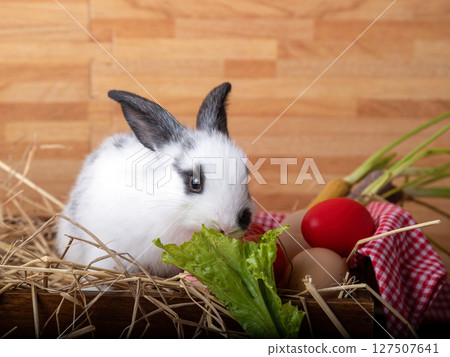 White rabbit with black ears and eye markings eating fresh green lettuce surrounded by hay, colorful eggs, and vegetables on wooden background 127507641